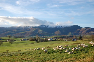 Irisarri herriko paisaia © Euskal kultur erakundea